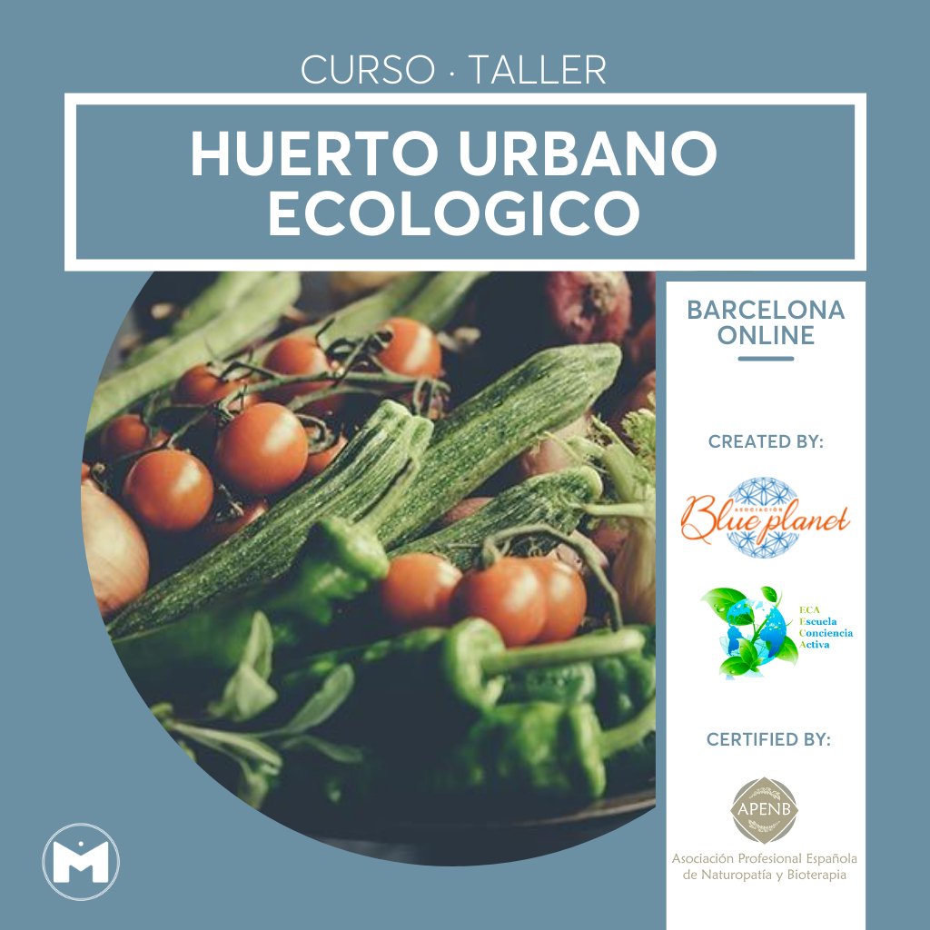 Curso Huerto Urbano Ecológico - MAMASELVAE