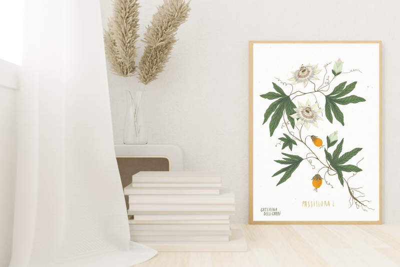 LÁMINAS PLANTAS MEDICINALES by Caterina Delli Carri
