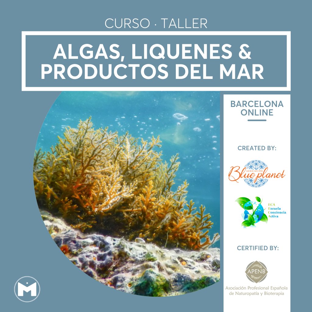 Curso/Taller Algas, Líquenes & Productos de Mar - MAMASELVAE