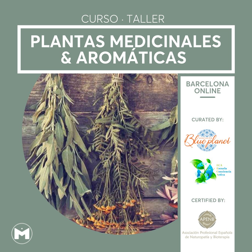 Curso/Taller Plantas Medicinales & Aromáticas - MAMASELVAE